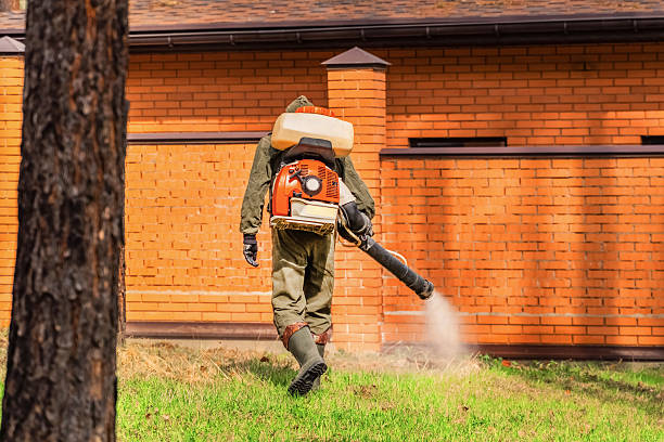 Trusted Bed Bug Control service in West Salem, WI - Nex Pest Control